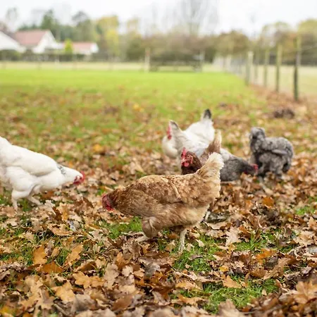 Prázdninový dům Tockwith Barn York